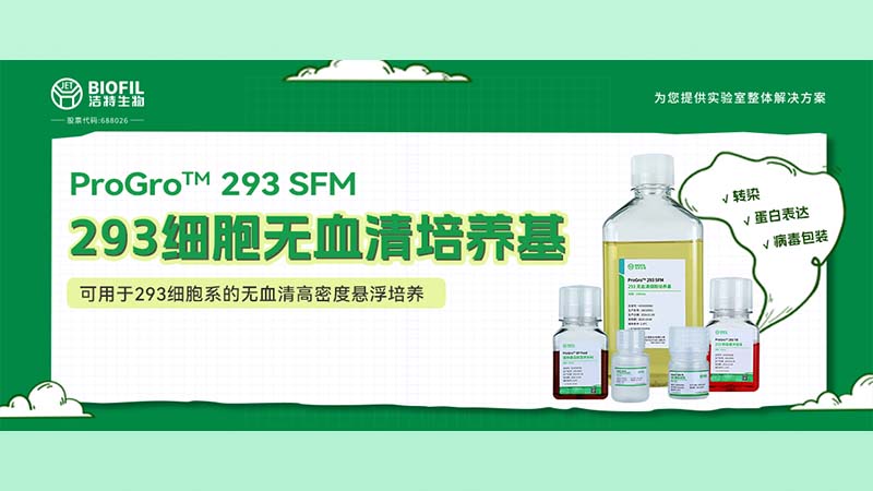 新品上線(xiàn) | 不會(huì)還有人養(yǎng)不好293細(xì)胞吧？！